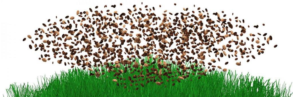 ORGANIC INFILL FOR ARTIFICIAL TURF